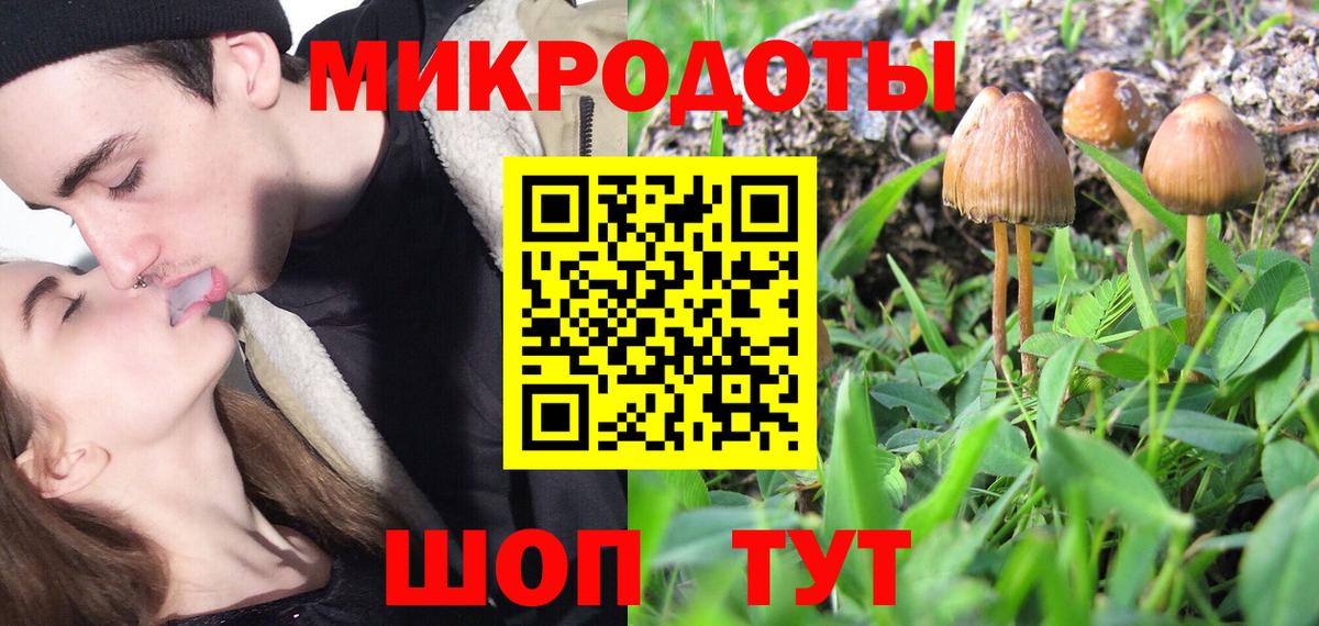 Галлюциногенные грибы ЛСД  Псилоцибиновые грибы Magic Shrooms  Киров  купить наркотик  Вход с VPN 
