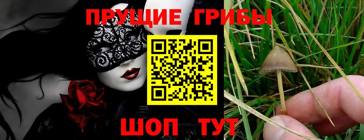 Галлюциногенные грибы ЛСД Киров